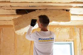 Best Soundproof Insulation  in Owatonna, MN