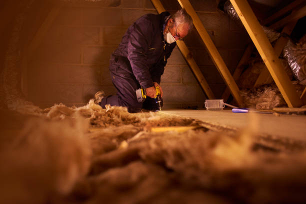 Best Insulation Removal  in Owatonna, MN